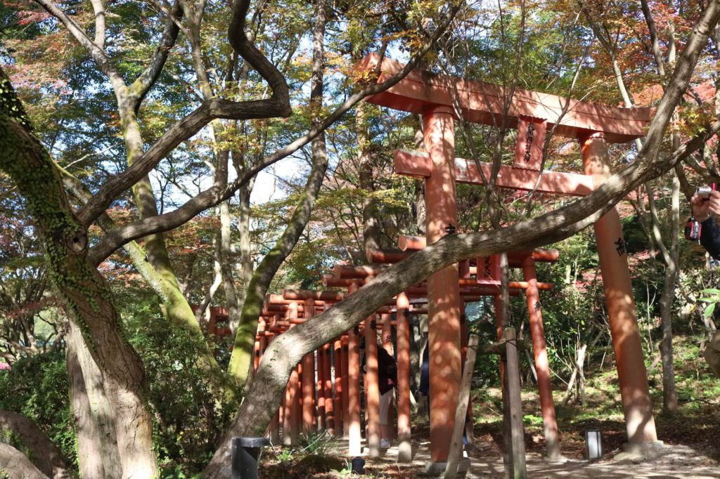 宝満宮竈門神社