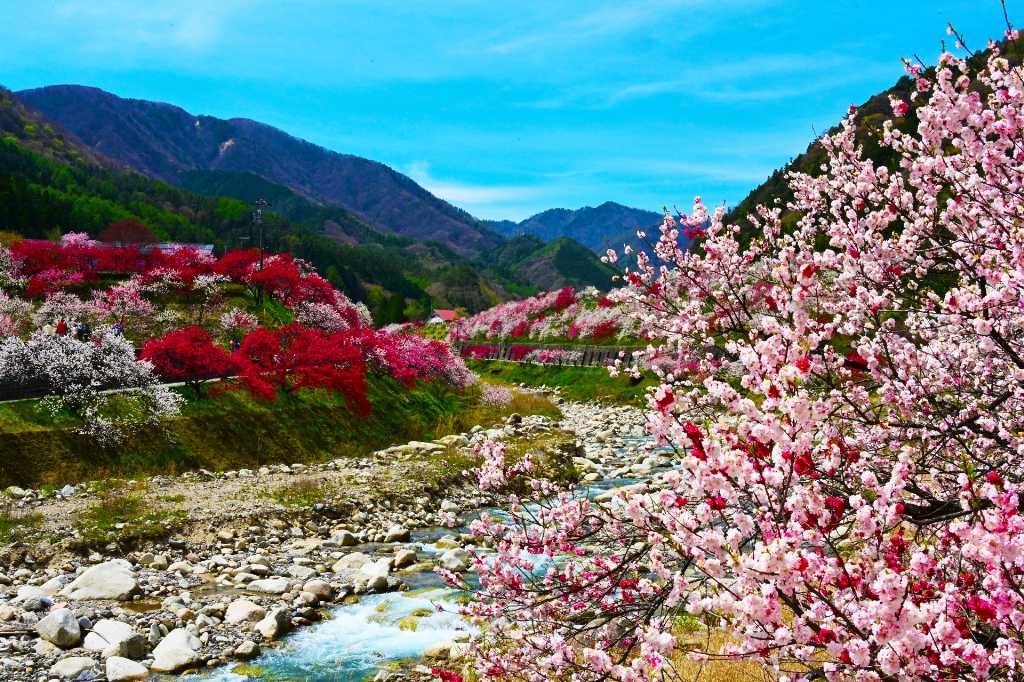 阿智村