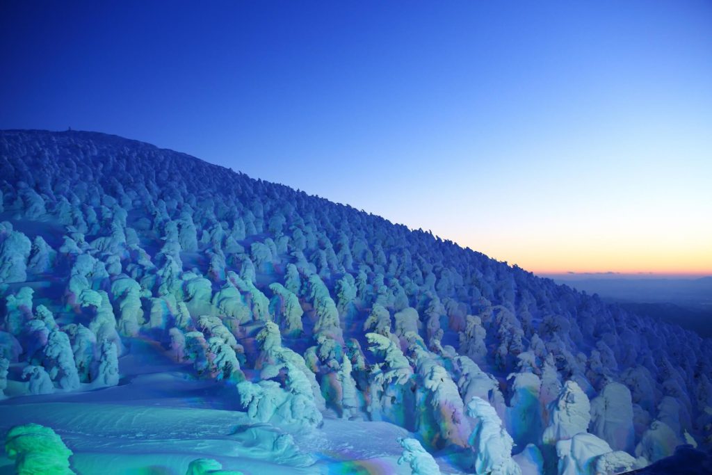 蔵王の樹氷