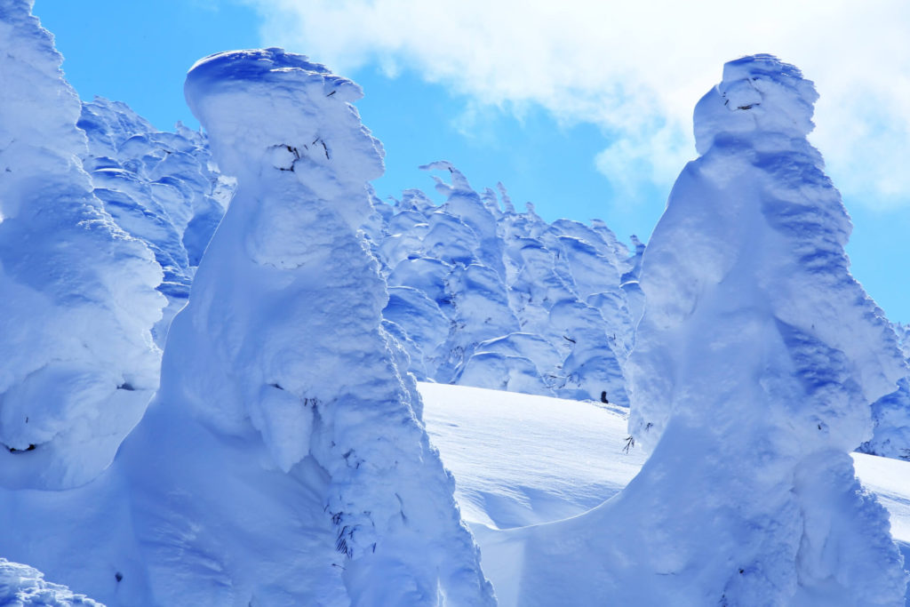 蔵王の樹氷