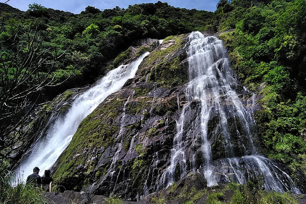 屋久島