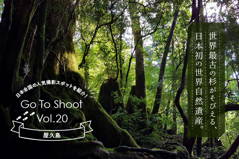 人気の写真撮影スポット】屋久島（鹿児島県熊毛郡） | GOOPASS
