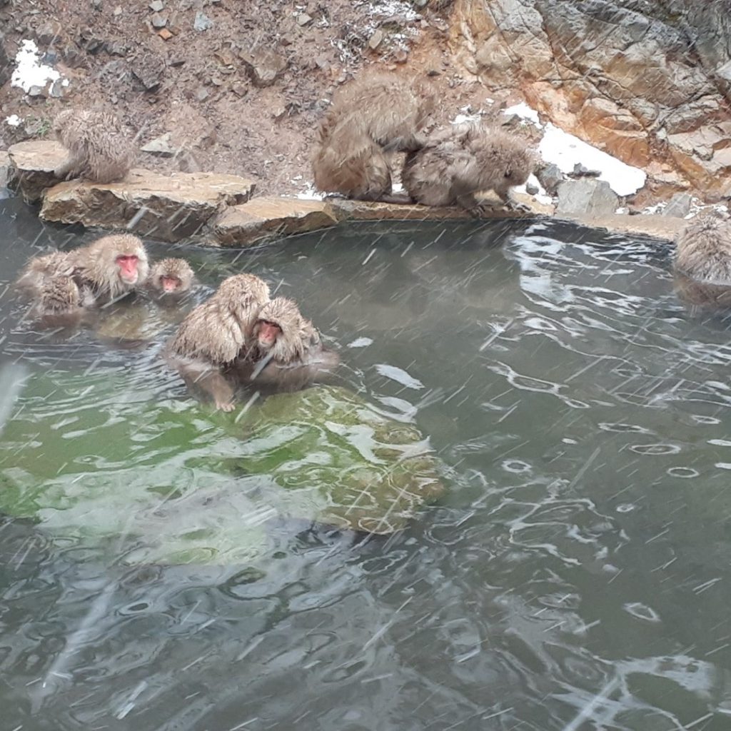 地獄谷温泉