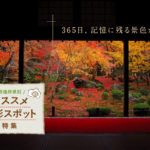 京都府のおすすめ写真撮影スポット10選