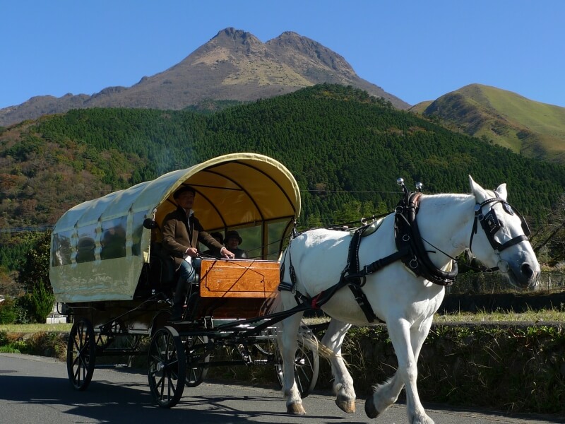大分県のオススメ写真撮影スポット10選 Goopass Travel Magazine