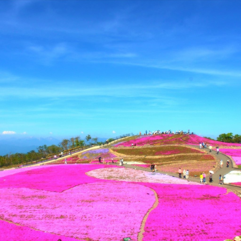 茶臼山高原