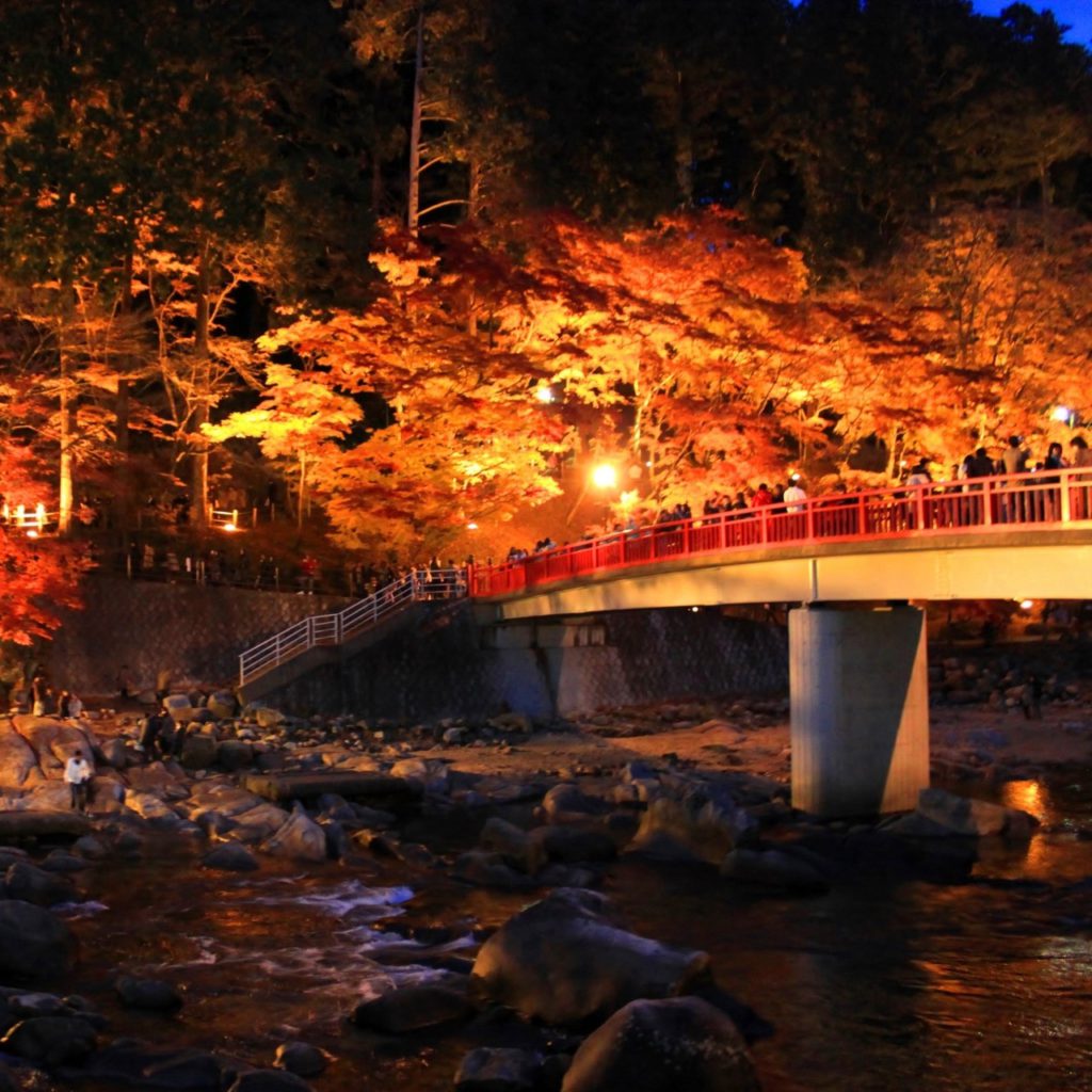 夜の香嵐渓