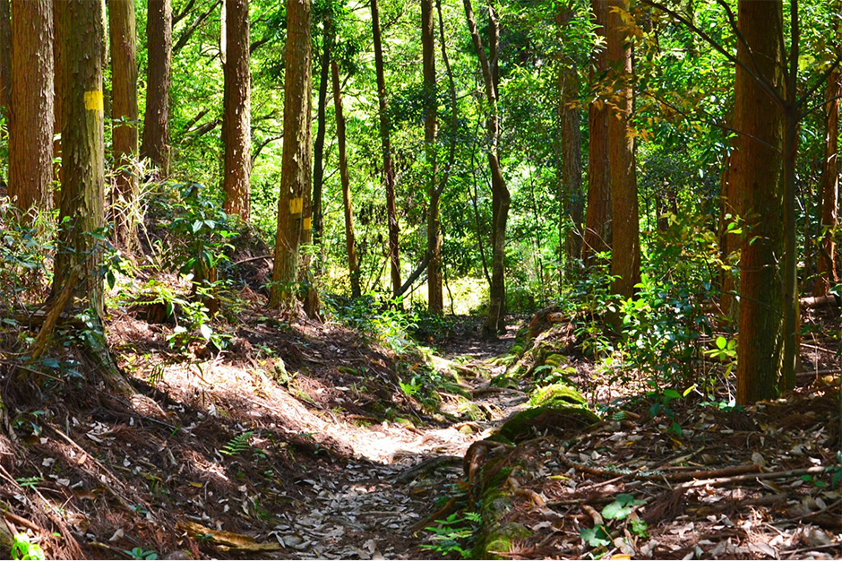 熊野古道