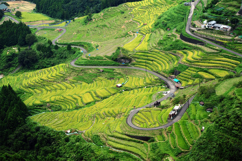 丸山千枚田