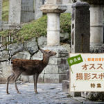 奈良県のおすすめ写真撮影スポット10選