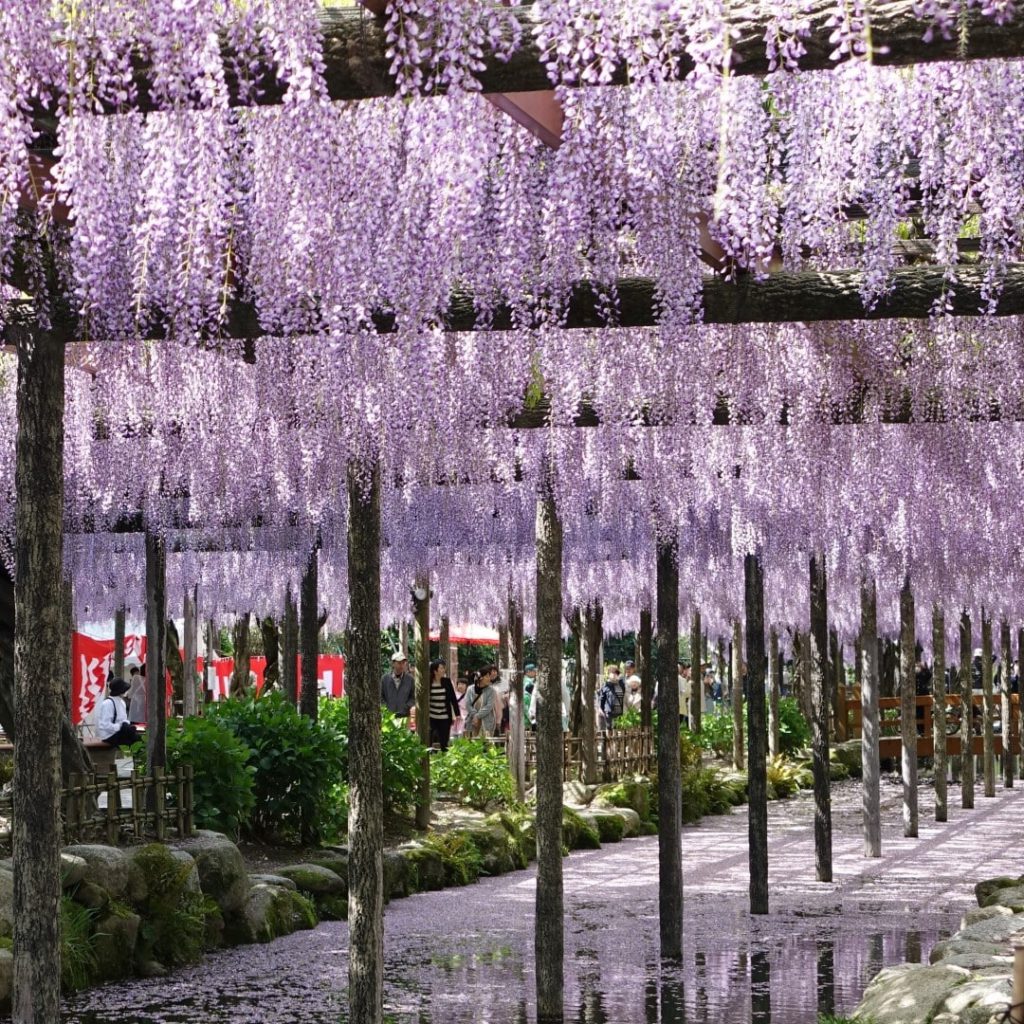 天皇川公園
