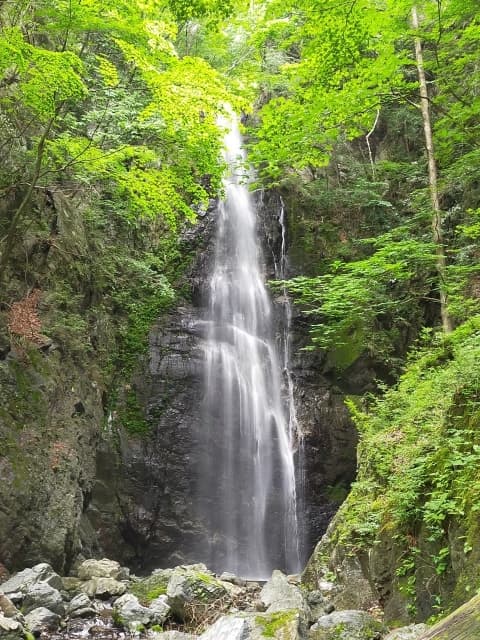 川苔山 百尋ノ滝