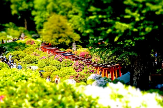 根津神社