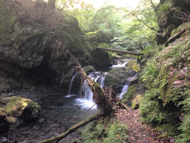 川苔山