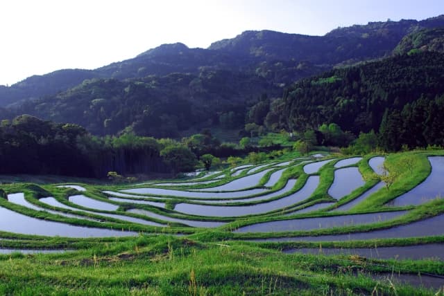 大山千枚田