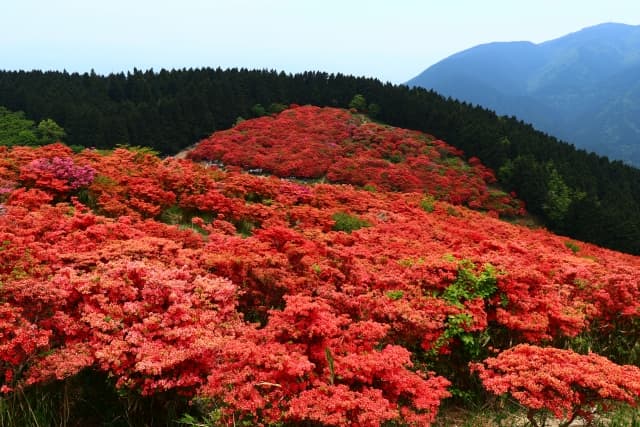 大和葛城山