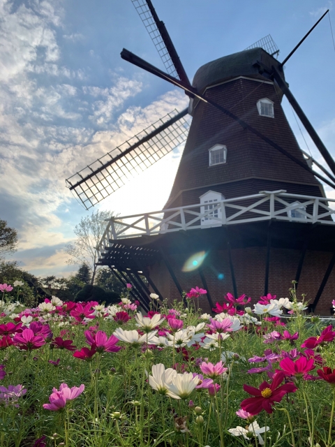 ふなばしアンデルセン公園