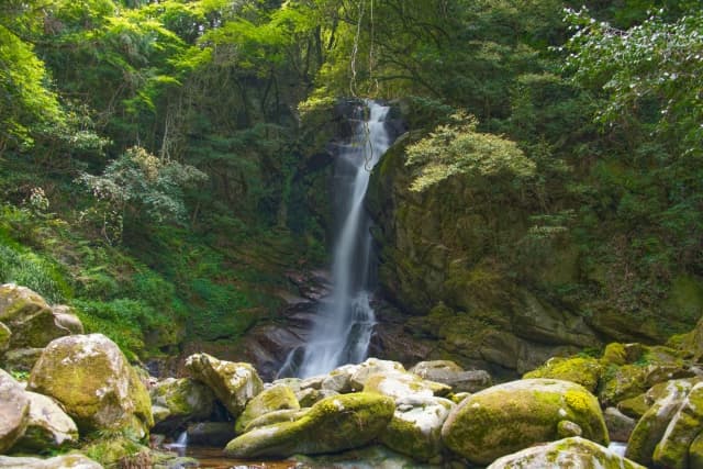 金山 花乱の滝