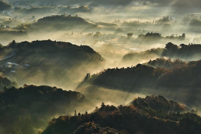 鹿野山