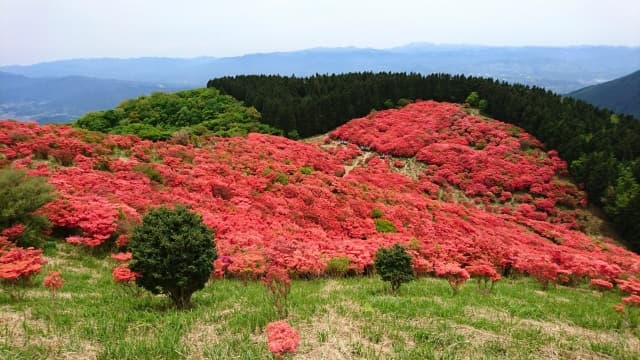 大和葛城山