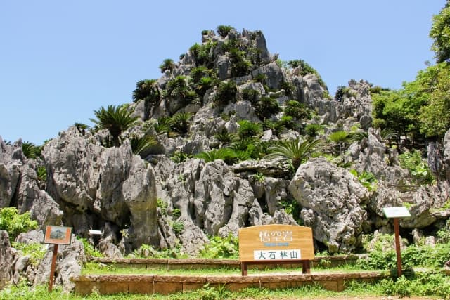 大石林山 悟空岩