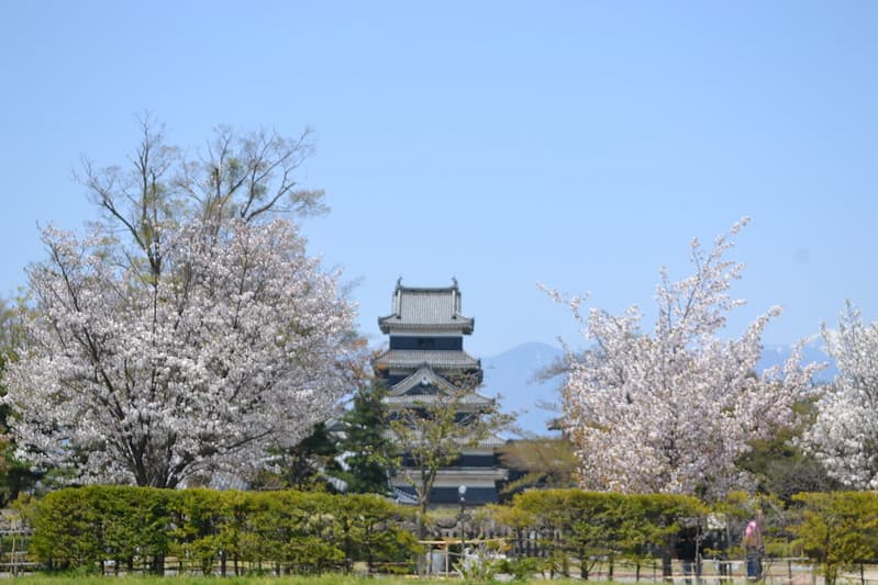 松本城