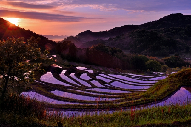 大山千枚田