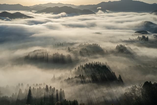 宝山