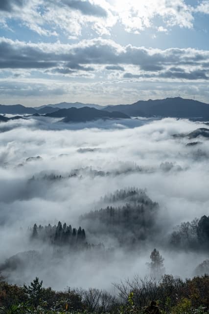 宝山