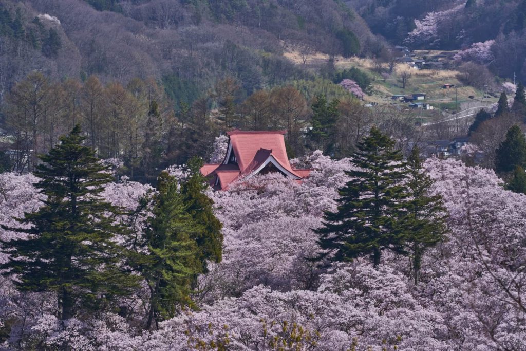 高遠城址公園