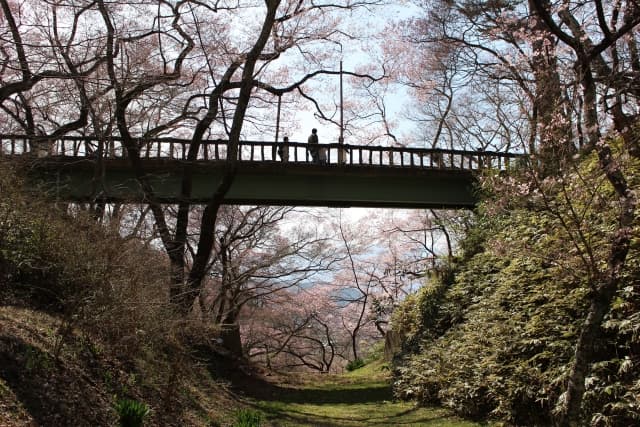 高遠城址公園