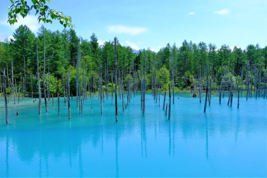 青い池