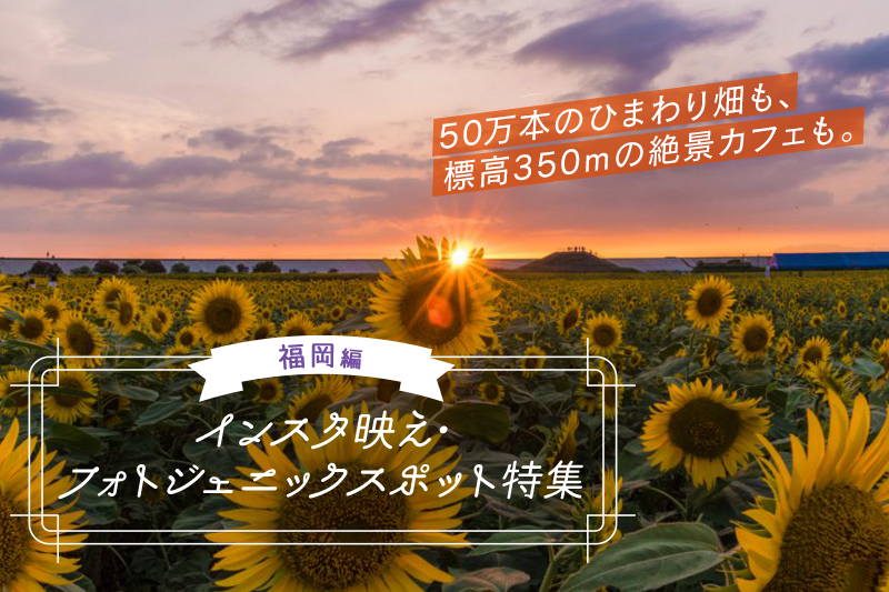 福岡県のインスタ映えスポット12選!おしゃれなカフェがおすすめ