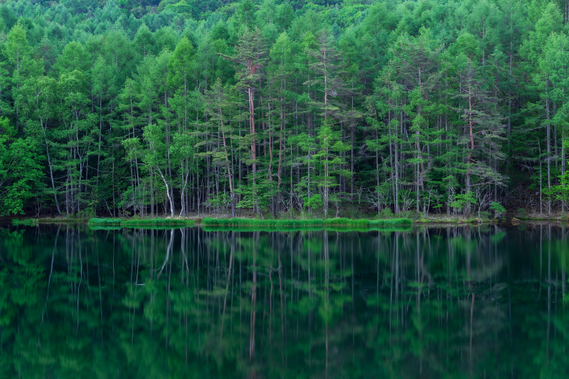 インスタ映え写真が撮れる!長野県のフォトジェニックスポット