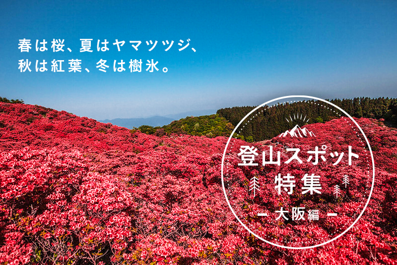 大阪府でおすすめの登山スポット5選【登山ルートも紹介】