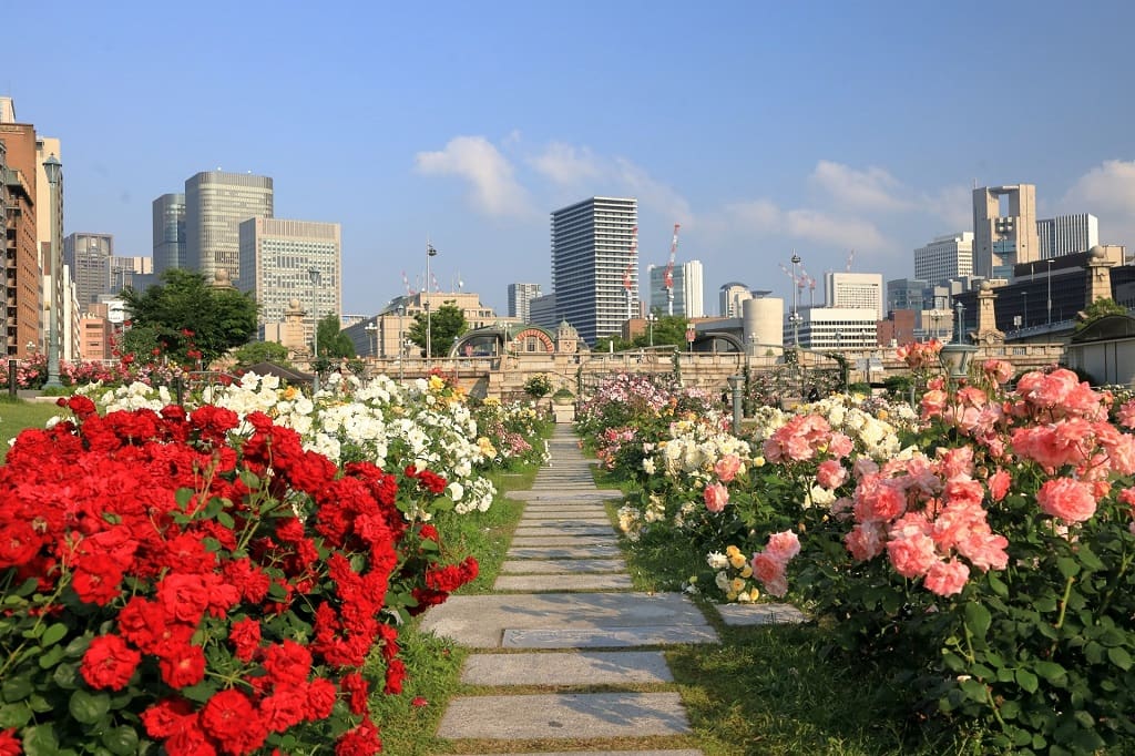 中之島バラ園