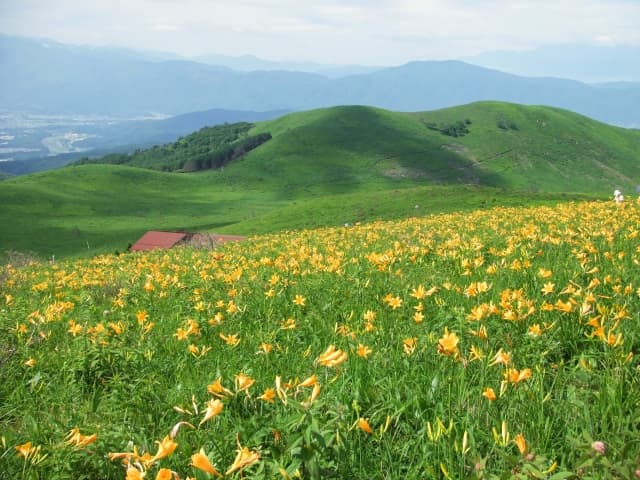霧ヶ峰・車山