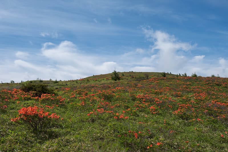 鉢伏山