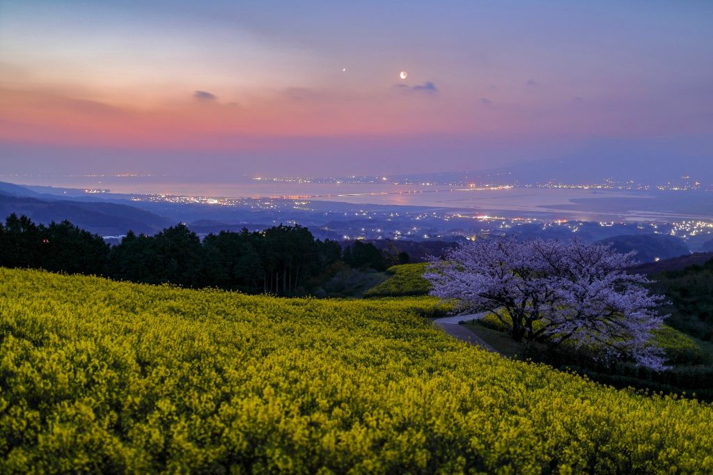 白木峰高原