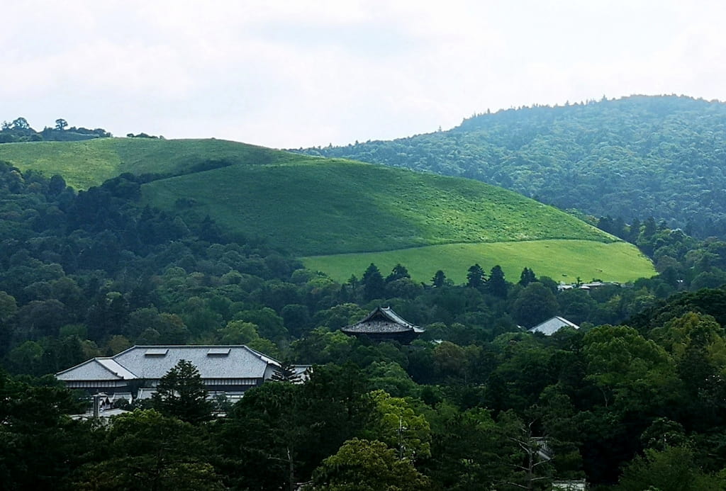 高円山