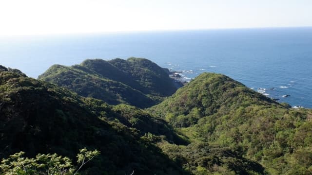 権現山展望公園