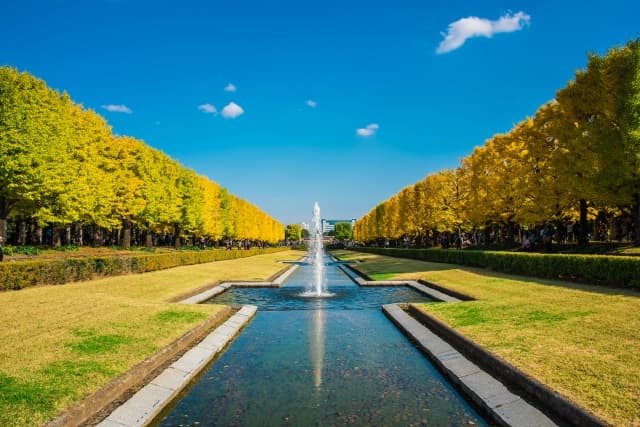 国営昭和記念公園の紅葉