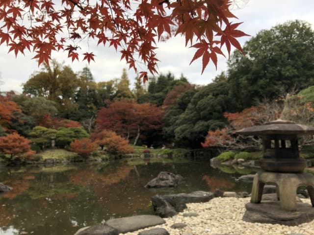 旧古河庭園の紅葉