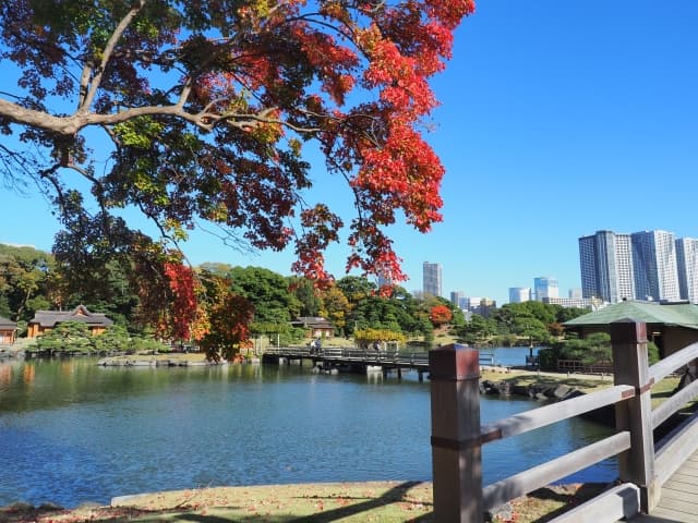 浜離宮恩賜庭園の紅葉