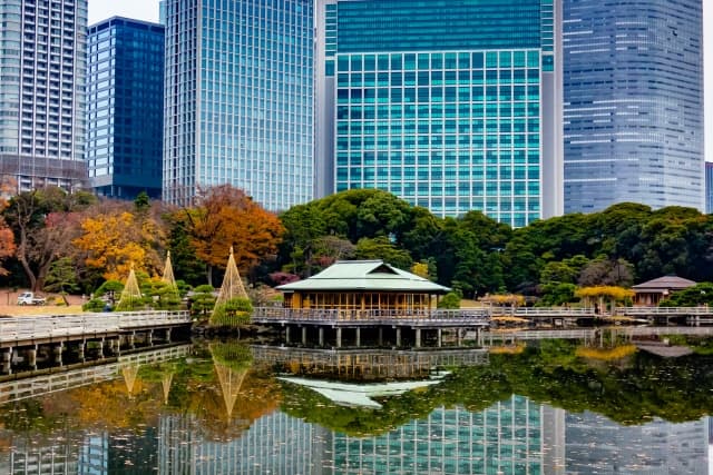 浜離宮恩賜庭園の紅葉