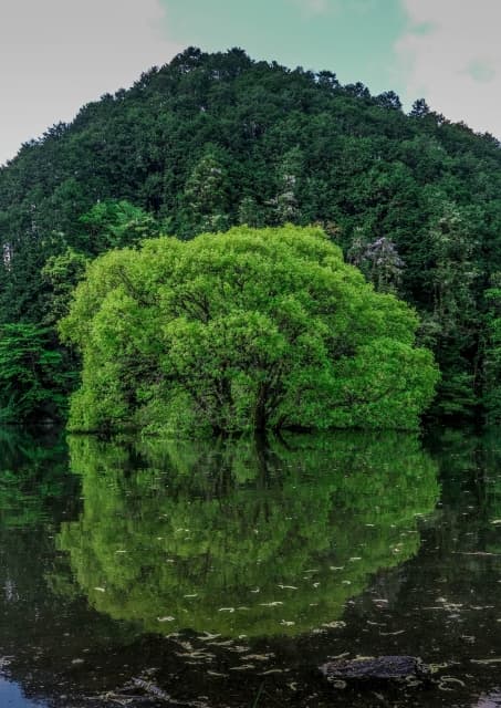 室生湖