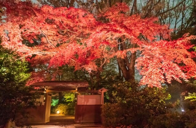 六義園の紅葉