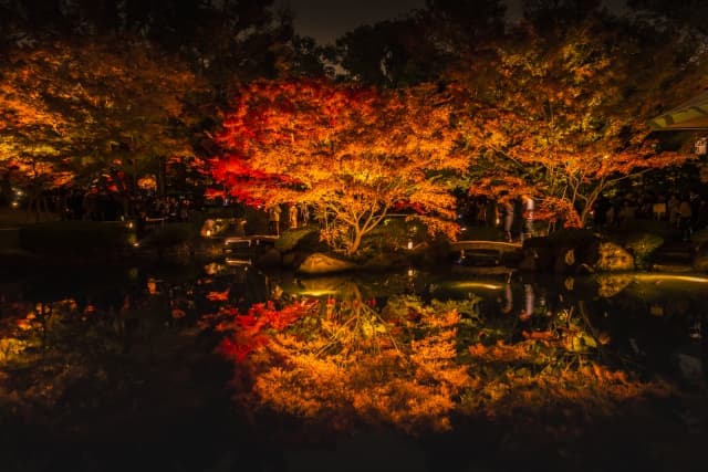 大田黒公園の紅葉ライトアップ