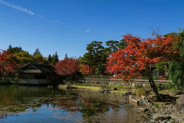 国営昭和記念公園の紅葉