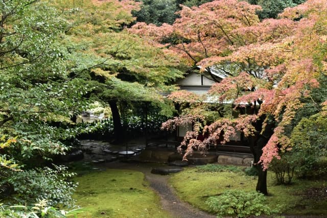 旧古河庭園の紅葉